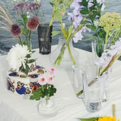 Vaser*IITTALA Glas vas 82x97mm Klar