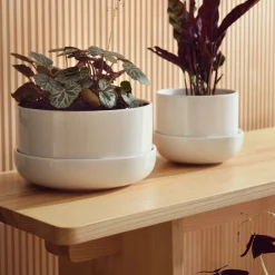 Krukor*IITTALA Kruka med fat M Vit