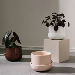 Krukor*IITTALA Kruka med fat S Vit