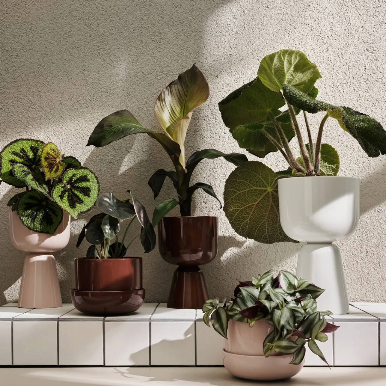 Krukor*IITTALA Kruka vit 320x190mm