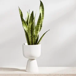 Krukor*IITTALA Kruka 230x155mm Vit