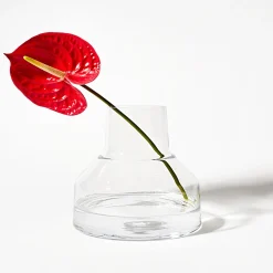 Vaser*IITTALA Låg vas 220x200mm klar