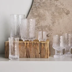 Alla Glas|Cocktailglas*IITTALA Snapsglas 5cl 2-pack