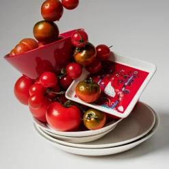 Tallrikar*IITTALA Tallrik rektangulär 12x24cm röd Svart