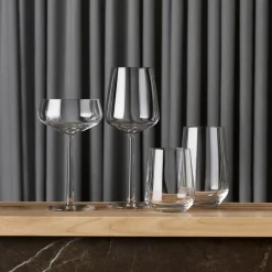Alla Glas|Dricksglas*IITTALA Universal glas 55cl 2-pack