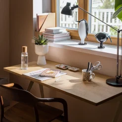 Dricksglas*IITTALA Vattenflaska 0,5L björk Björk